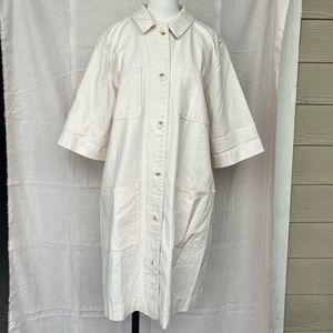 Everlane The Chore Mini Dress